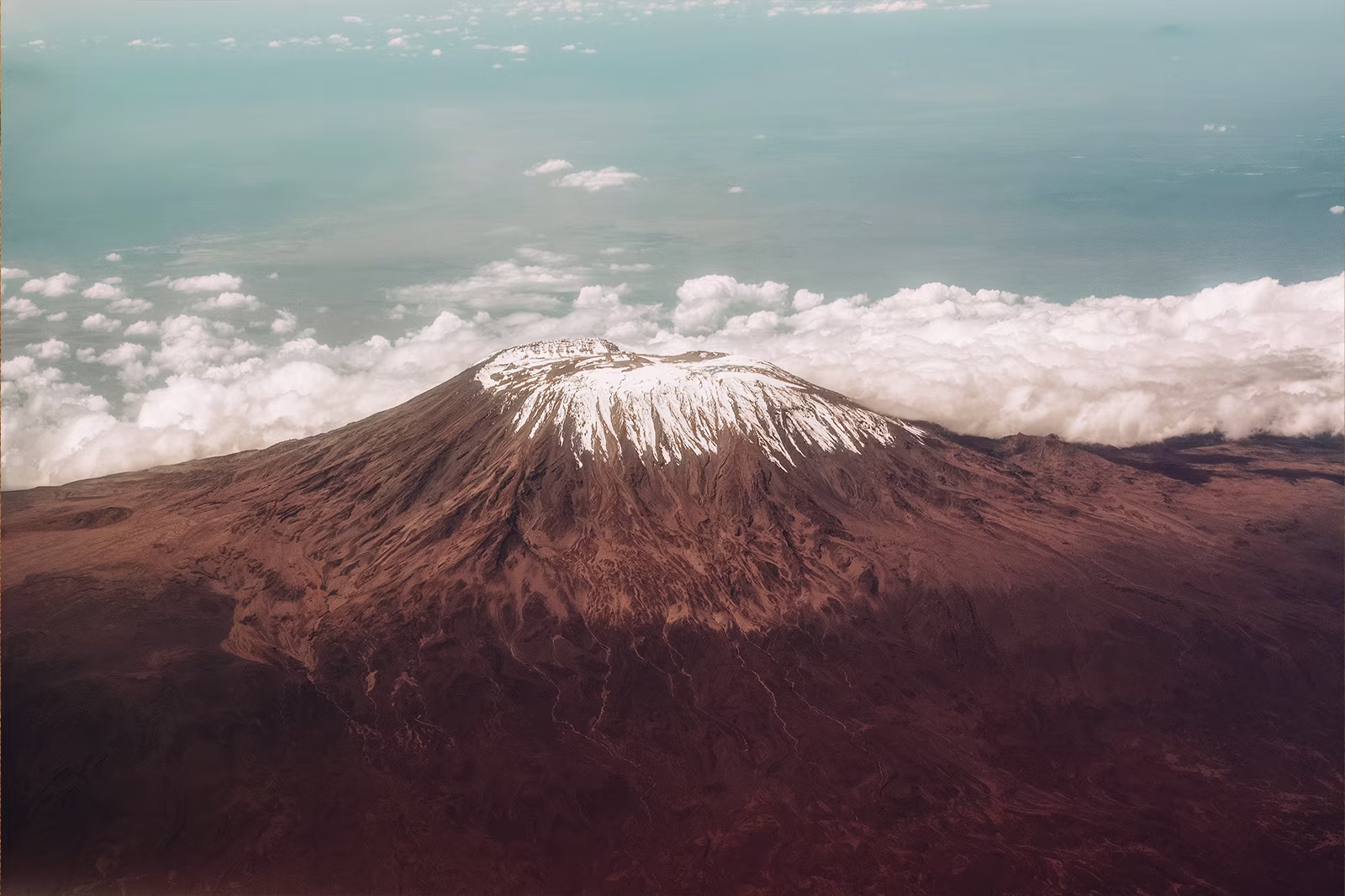 Kilimanjaro trekking through moorland zone Tanzania
