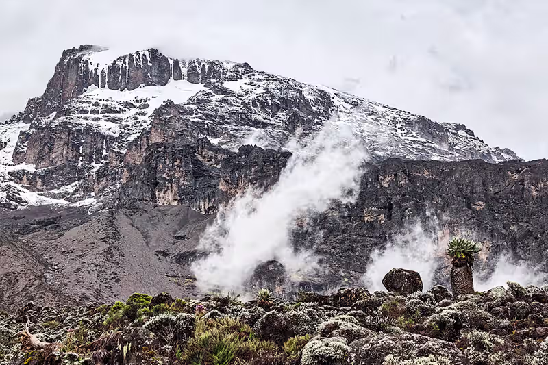 Kilimanjaro Routes Compared: Lemosho vs Machame vs Marangu vs Rongai
