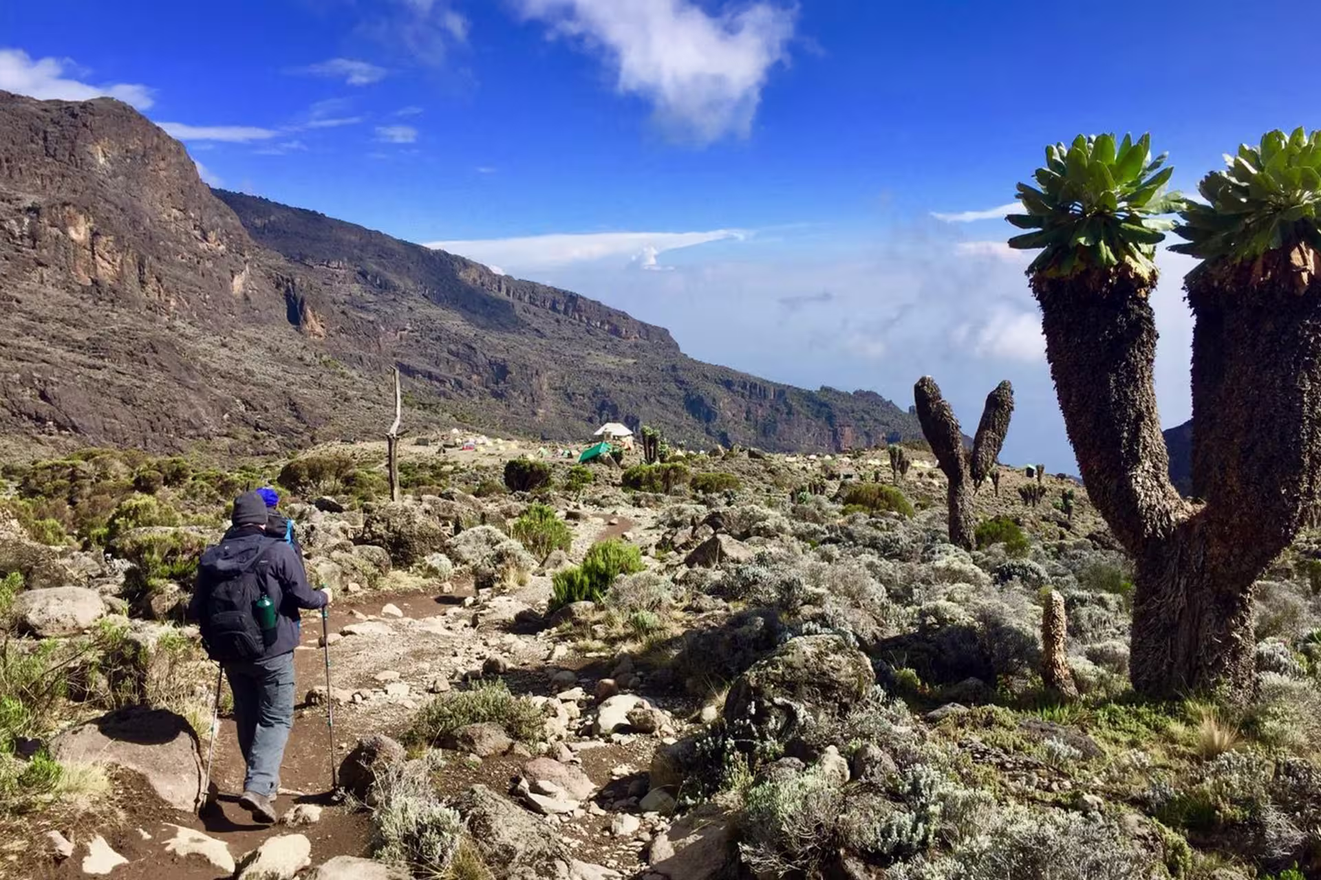 Kilimanjaro Machame route mountain scenery