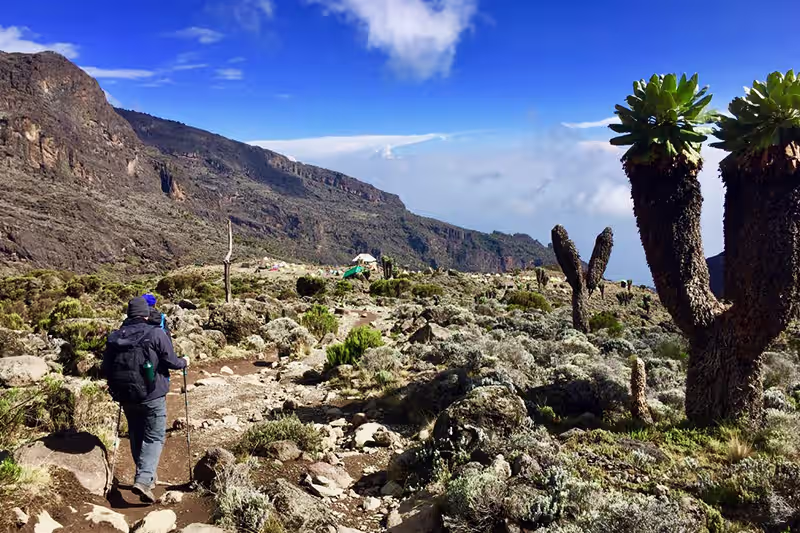 Kilimanjaro Machame route mountain camp