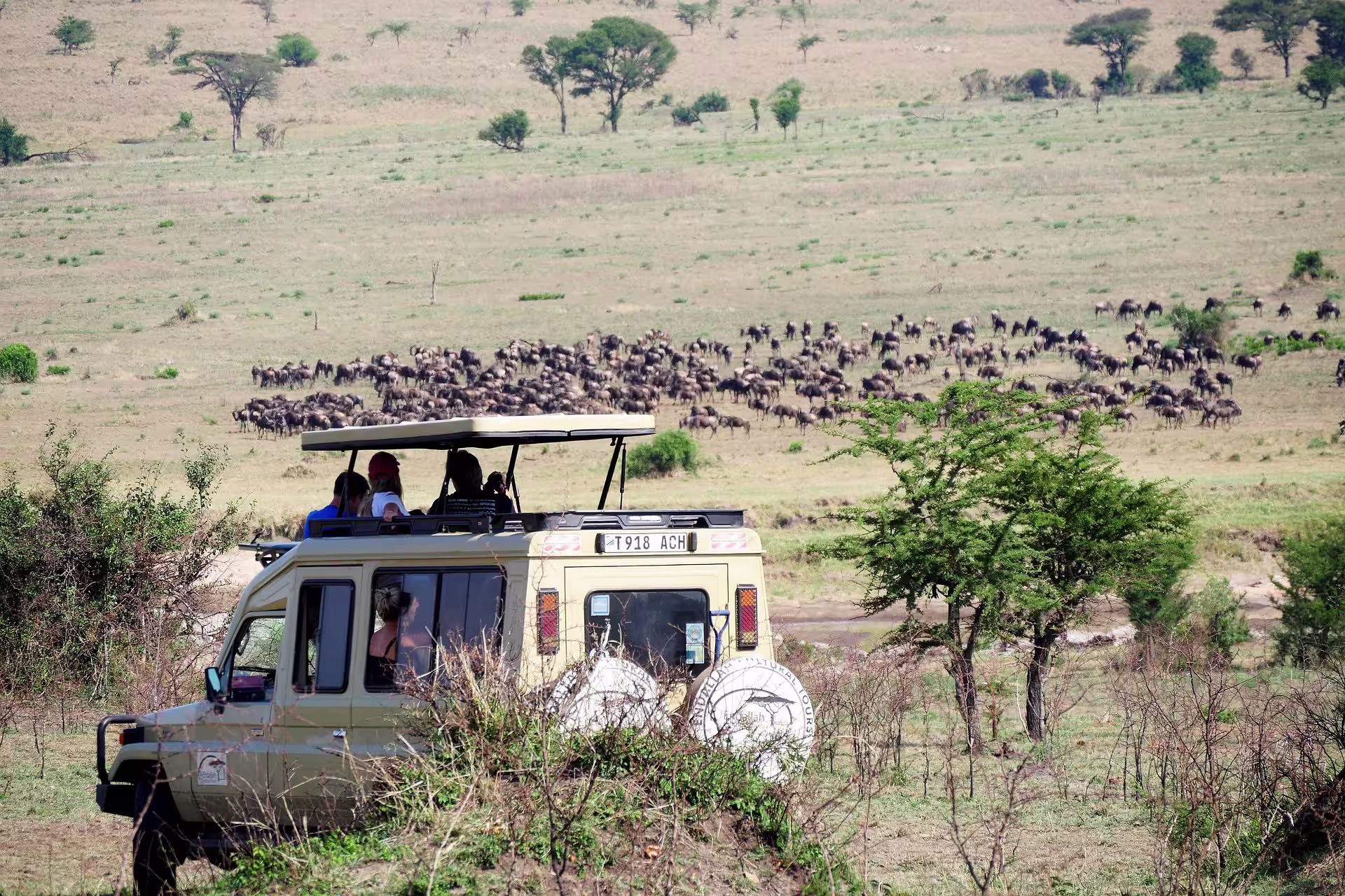 Serena Safari Lodge Serengeti Tanzania
