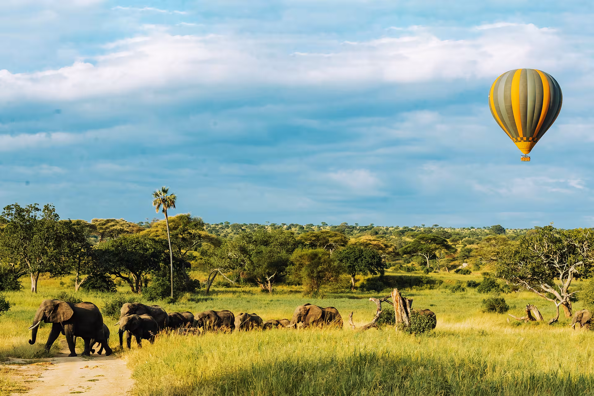 Serengeti plains panoramic Tanzania