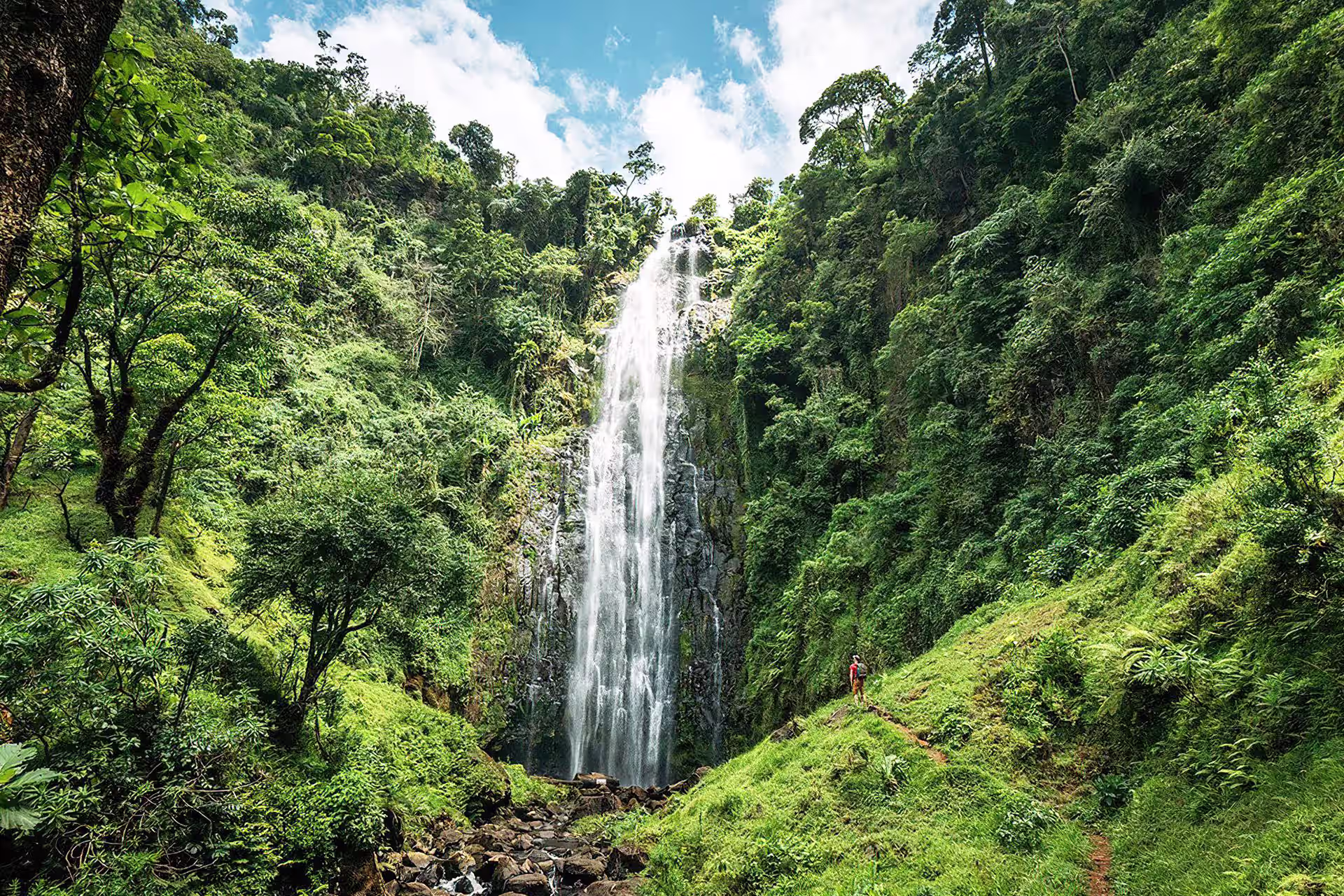 Materuni waterfall Tanzania coffee tour Chagga