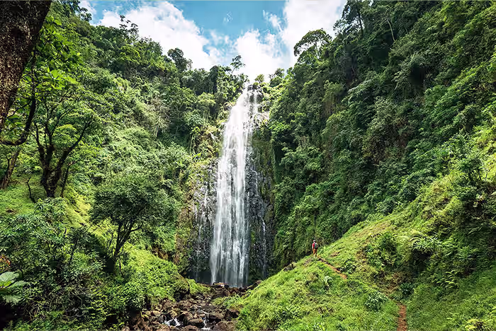 Materuni waterfall Tanzania